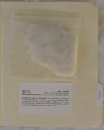 wpe3E.jpg (4245 bytes)
