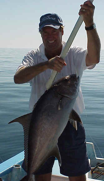 Don's Amberjack